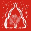 Cartes Feng Shui – Image 5