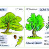 Calendrier Celtique poster – Image 5
