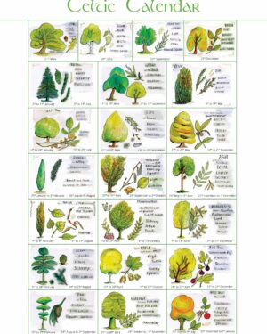 Calendrier Celtique poster